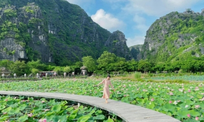 Tour Việt Nam