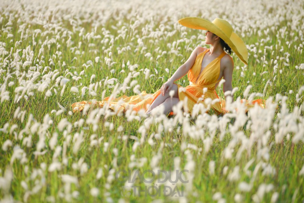TSTtourist-ngan-ngo-canh-dong-co-lau-trang-muot-giua-ha-noi-1