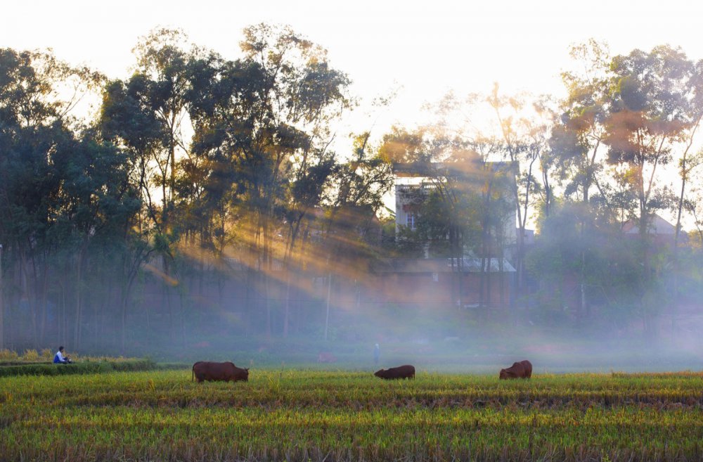 TSTtourist-lang-co-thuan-viet-o-bac-giang-2