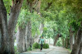 "Chùa hàng còng" - Vẻ đẹp giản dị vùng Bảy Núi An Giang