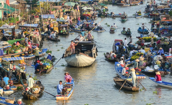 TSTtourist-bao-canada-goi-y-9-trai-nghiem-o-dong-bang-song-cuu-long-2