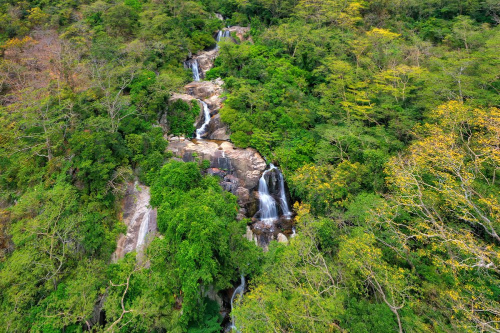TSTtourist-cam-nang-du-lich-ninh-thuan-3