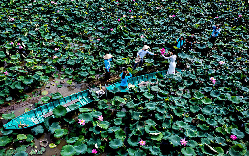 TSTtourist-sen-va-thuong-hieu-du-lich-dong-thap