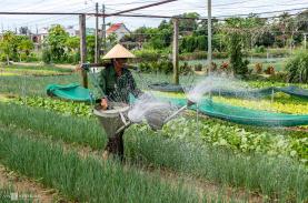 Ba làng nghề trăm tuổi ở Hội An