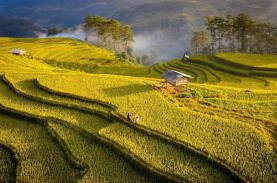 Bay cao ngắm vẻ đẹp Việt Nam