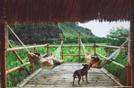 Các homestay ngắm mùa sen ở Ninh Bình