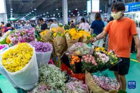 Khám phá chợ hoa lớn nhất Côn Minh, Trung Quốc