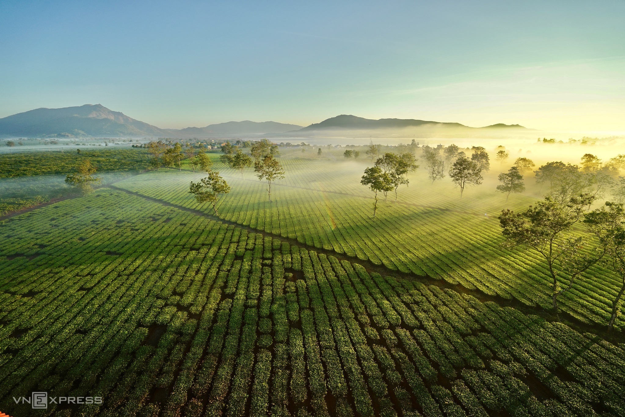 TSTtourist-gia-lai-khong-chi-co-bien-ho-3