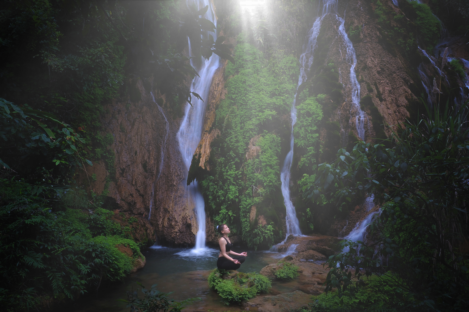 TSTtourist-nhung-khu-nghi-duong-o-mien-bac-an-trong-rung-cay-7
