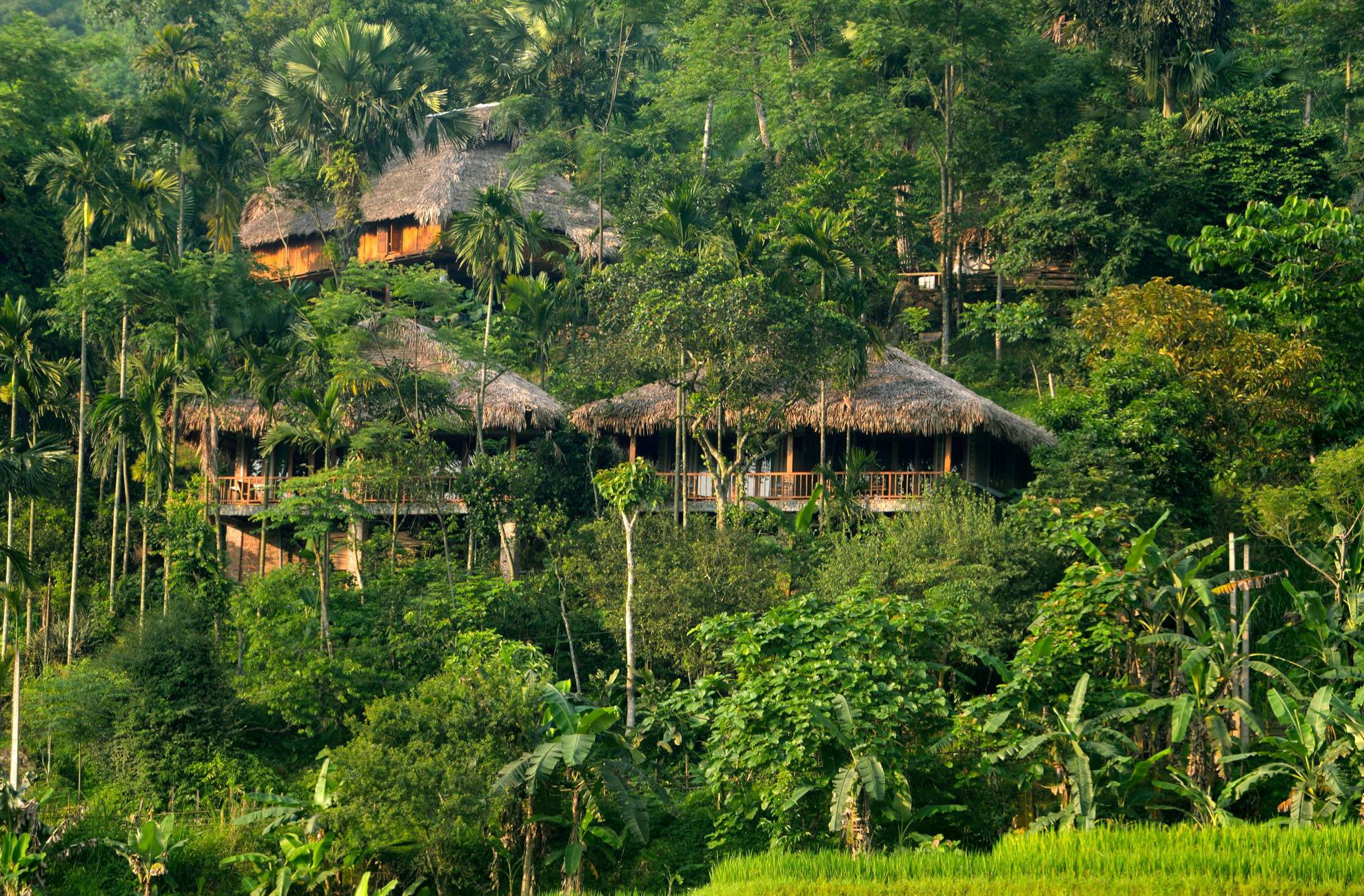 TSTtourist-nhung-khu-nghi-duong-o-mien-bac-an-trong-rung-cay-8