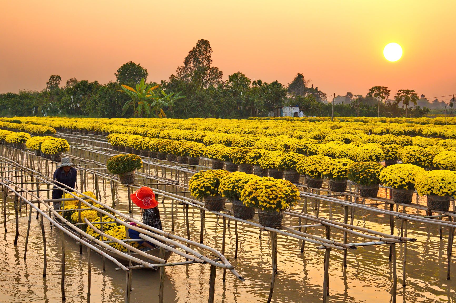 Về miền Tây sông nước, khám phá cuộc sống yên bình ở Đồng Tháp
