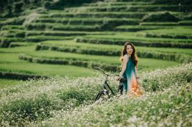 Ruộng bậc thang trên đất cao nguyên Chư Sê