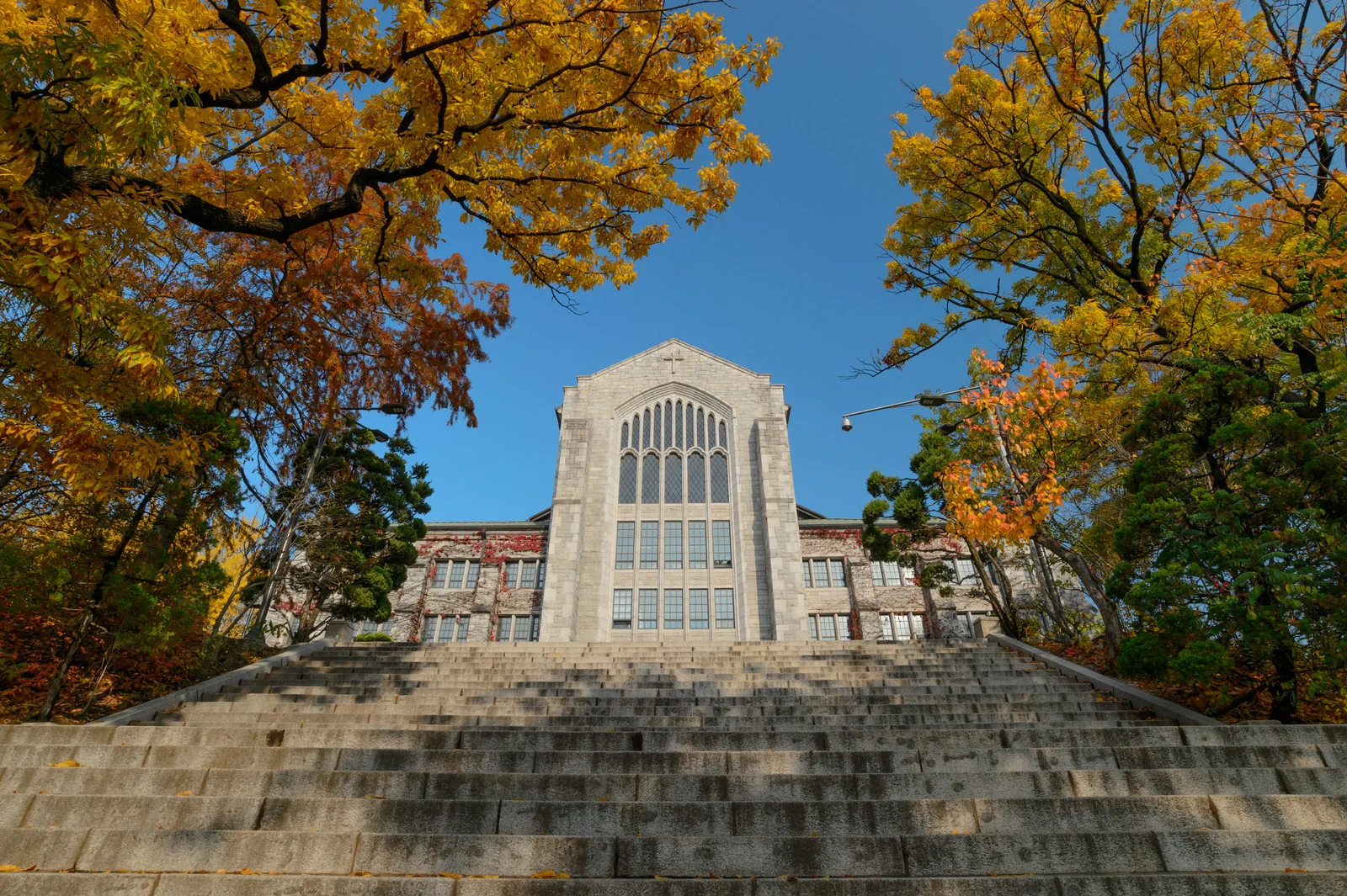 Vẻ đẹp lãng mạn mùa thu của Trường Đại học nữ sinh Ewha