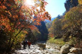 Spectacular Seorak in the golden leaf season