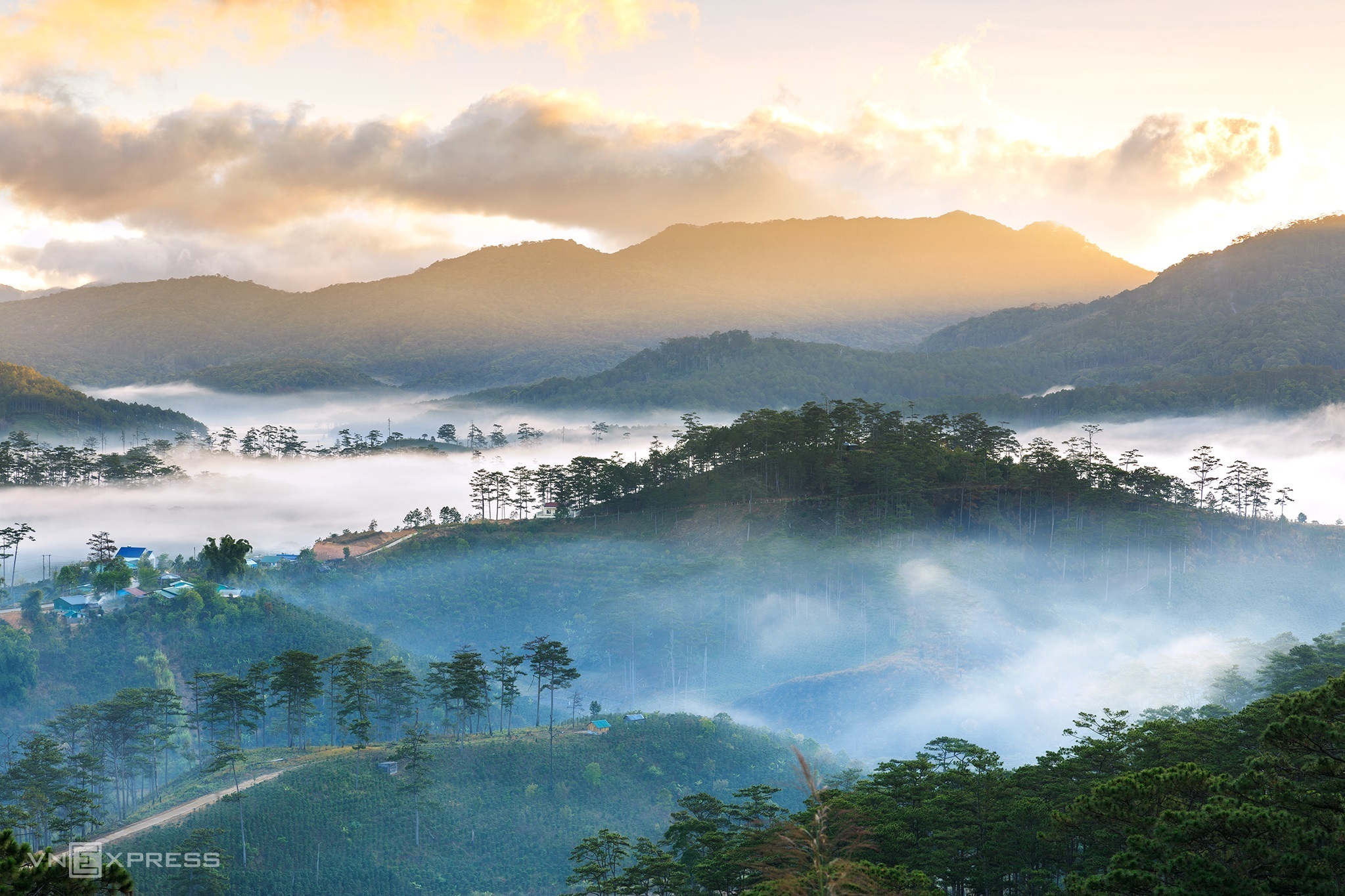 TSTtourist-du-lich-san-chim-la-o-da-lat-1