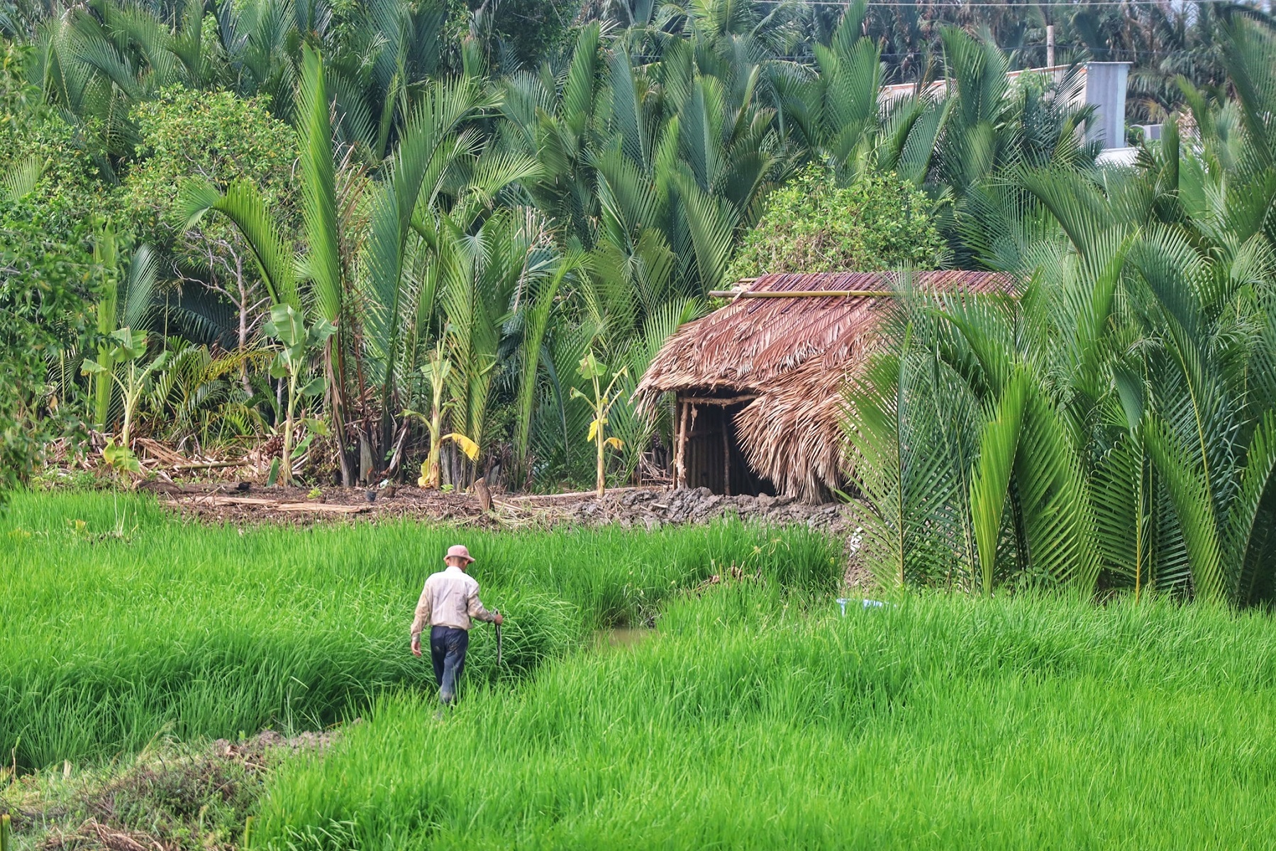 TSTtourist-mot-ngay-kham-pha-ap-lam-muoi-o-ngoai-o-tp-hcm-6