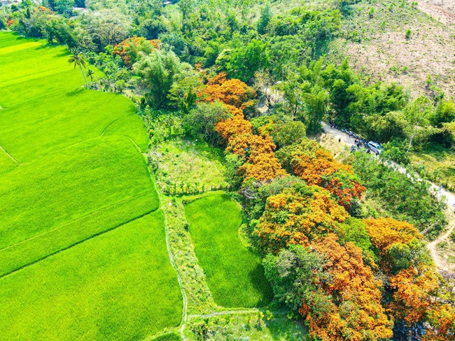 TSTtourist-vinh-thanh-mien-dat-hua-cua-du-lich-binh-dinh-1