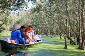 Vẻ đẹp bình dị ở rừng tràm Trà Sư