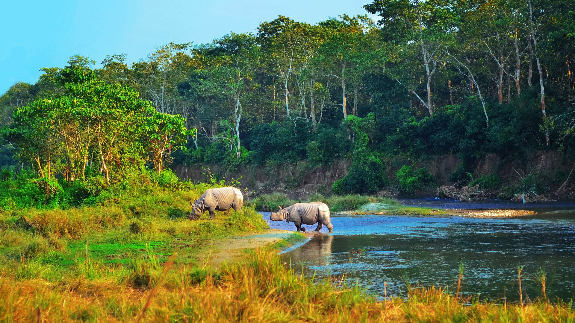 Anh-7